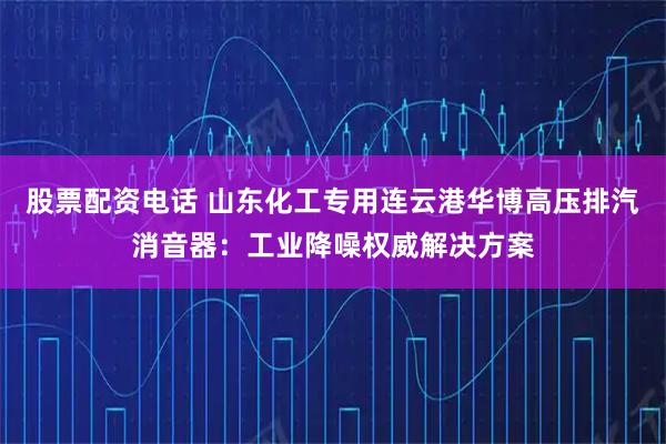 股票配资电话 山东化工专用连云港华博高压排汽消音器:工业降噪权威解决方案